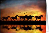 Herd of Horses Running in a Sunset Pretty Happy Birthday card