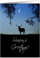 Season’s Greetings with Elk and Crescent Moon Starry Sky Nature card