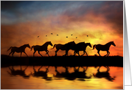 Herd of Galloping Horses and Water at Sunset Blank card