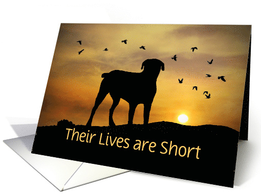 Custom Dog Sympathy Sunset and Birds card (1689800)