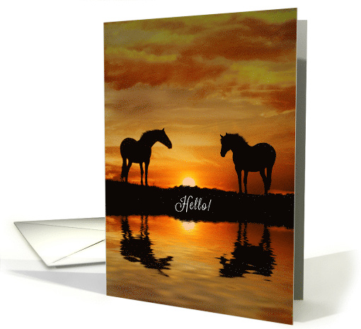 Horses and Water Hello Just Checking In card (1689902)