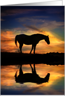 Horse In Southwestern Sunset and Pond of Water Blank card