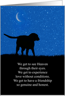 Dog Sympathy Spiritual Loss of Dog Moon and Stars card