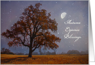 Autumn Equinox Mabon...