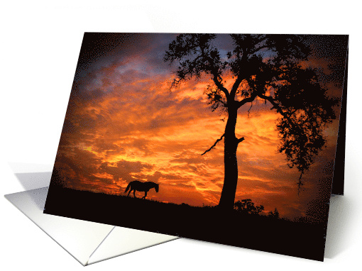 Horse Encouragement Hang In There Sunset and Oak Tree card (1703300)