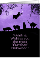 Halloween Custom Name Cats and Witch Fun card