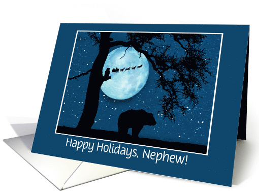 Happy Holidays Nephew Cute Bear Owl and Santa Custom Cover Fun card