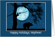 Happy Holidays Nephew Cute Bear Owl and Santa Custom Cover Fun card