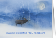 Season’s Greeting from Montana Elk Snow Birch Trees Moon Custom Text card