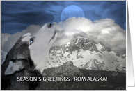 Season’s Greeting from Alaska Sled Dog Siberian Husky Custom Front card