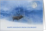 Colorado Holiday Seasons Greetings Elk and Moon Nature Custom Front card