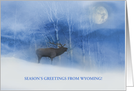 Wyoming Seasons Greetings Holiday with Elk and Wilderness Custom card