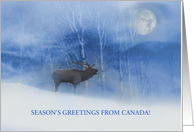 Canada Seasons Greetings Christmas Holiday Elk and Snow Custom card