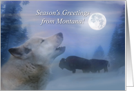 Montana Holiday Christmas Seasons Greetings Buffalo and Wolf Wildlife card