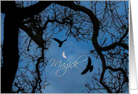 Wicca Inspired Ravens Oak Tree and Crescent Moon Magick Blank card