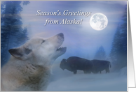 Alaska Holiday Seasons Greetings with Wolf Bison Wildlife and Snow card