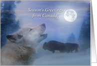 Canadian Rugged Wilderness Seasons Greetings with Bison and Wolf card