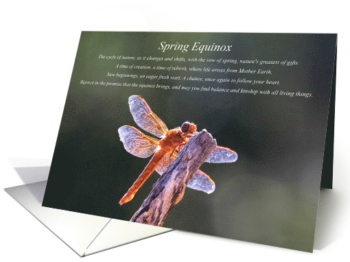 Spring Equinox with Dragon Fly and Poem card (1722414)
