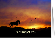 Horse Trotting in Sunrise Thinking of You Custom card