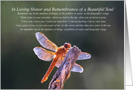 Spiritual Remembrance Sympathy for Loss with Dragonfly card