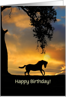 Birthday With Horse and Sun Custom card