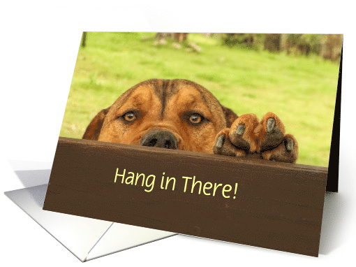 Hang in There Cute Puppy Dog Looking over Fence Custom... (1724932)