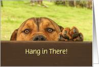 Hang in There Cute Puppy Dog Looking over Fence Custom Encouragement card