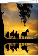 Horse Herd Galloping at Sunset Nature Blank card
