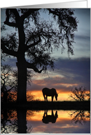 Horse Oak Tree and...