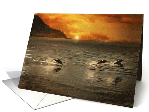Dolphins in Ocean Sea Sunset Beautiful Coastal Blank Any Occasion card