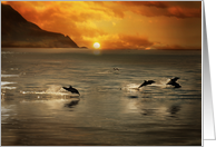 Dolphins in Ocean Sea Sunset Beautiful Coastal Blank Any Occasion card