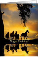 Birthday with Herd of Wild Horses Galloping from Across the Miles card