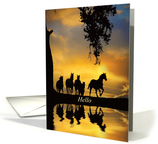 Hello Herd of Horses From Across the Miles card (1728844)