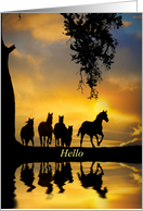 Hello Herd of Horses From Across the Miles card