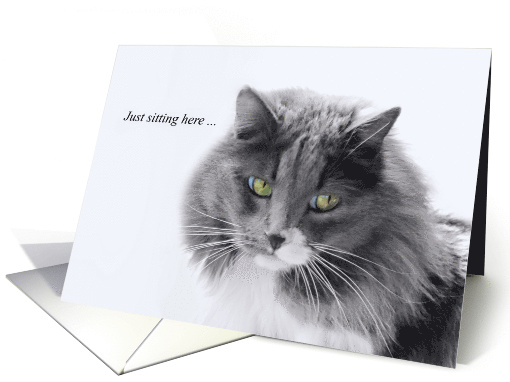 Missing You Cute Cat in Black and White with Yellow Green Eyes card