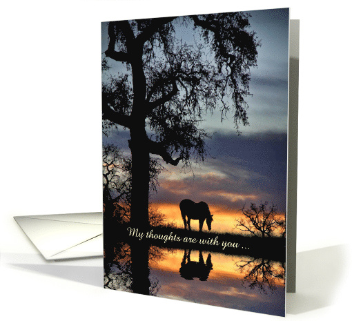 Sympathy Nature with Horse and Water Oak Tree Sunset Custom Text card