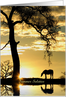 Summer Solstice Mid Summers Eve Custom Horse Sun and Oak Tree card