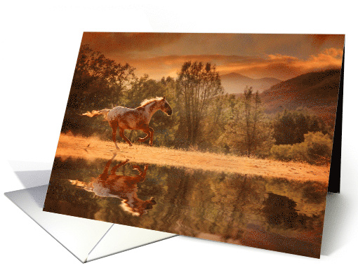 Horse Galloping Appaloosa in Back Country Blank Any Occasion card