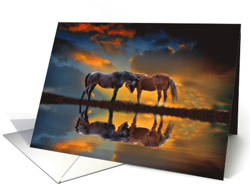 Hello Horses in the Sunset and Reflected in Water card (1735496)