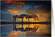 Hello Horses in the Sunset and Reflected in Water card