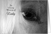 Horse Sympathy Custom Horse Name Beautiful Equine Close Up card