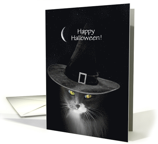 Halloween Cute Witch Kitten Cat with Witch Crescent Moon... (1735734)