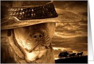 Birthday for Him Pitbull with Cowboy Hat Rattlesnake Hombre card