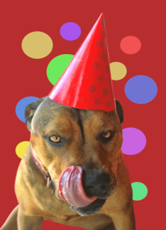 Birthday Cute Pit...