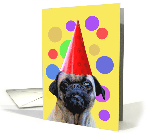 Birthday with Cute Pug Dog and Party Hat Happy Birthday card (1736470)