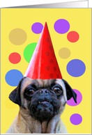 Birthday with Cute Pug Dog and Party Hat Happy Birthday card
