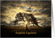 Fall Autumn Equinox with Oak Tree Clouds and Sunstar card