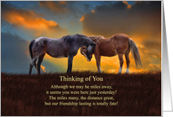 Thinking of You From Across the Miles Horses in Sunset Sweet Poem card