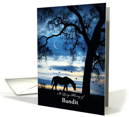 Horse Sympathy Loss of Horse Custom Name Sincere and Beautiful card