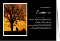 Horse Sympathy Memorial Tribute with Custom Name Sunset Oak Tree card